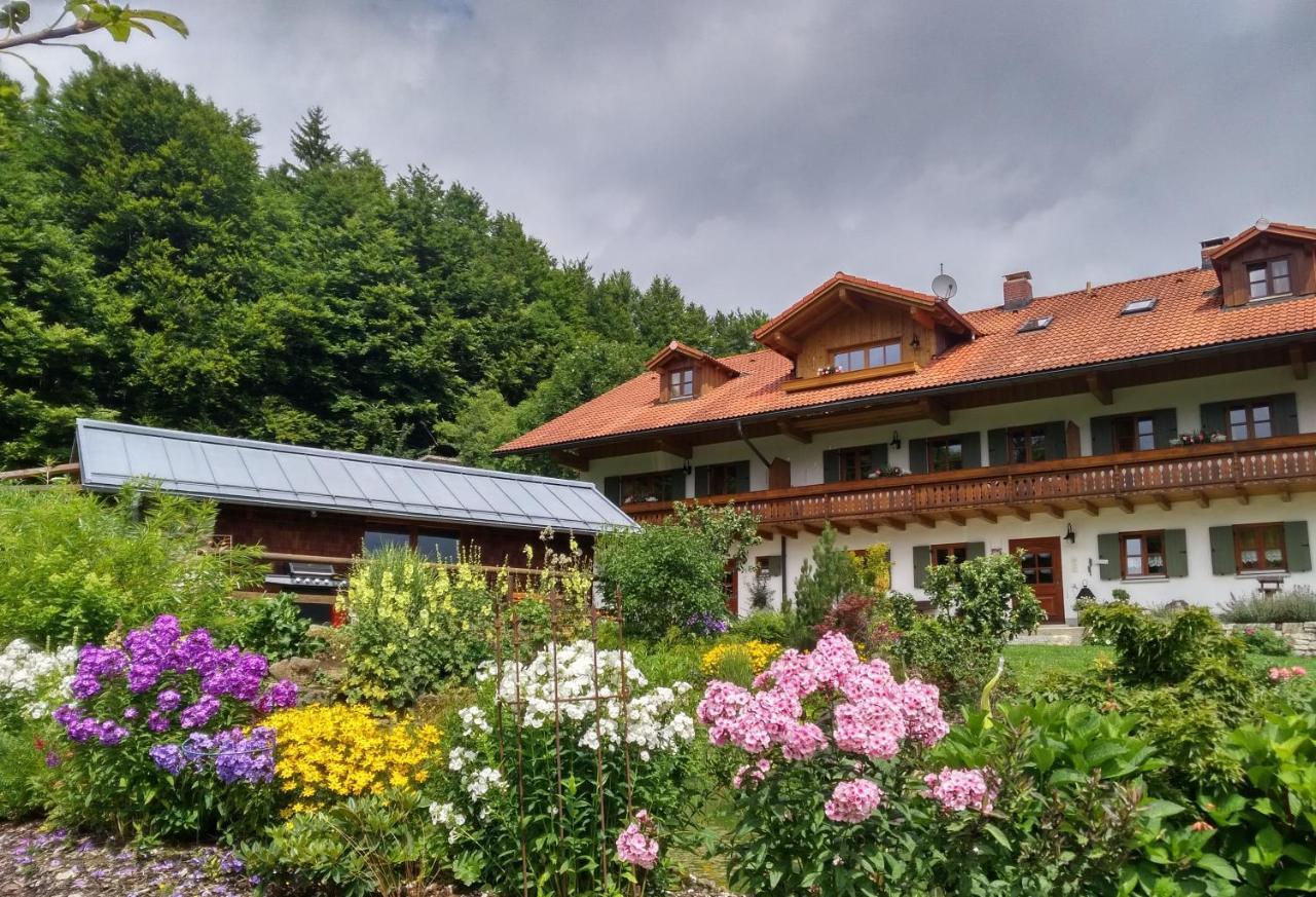 ספיגלאו Haus Jaegerfleck, Ihre Ferienwohnungen Am Nationalpark Bayerischer Wald מראה חיצוני תמונה
